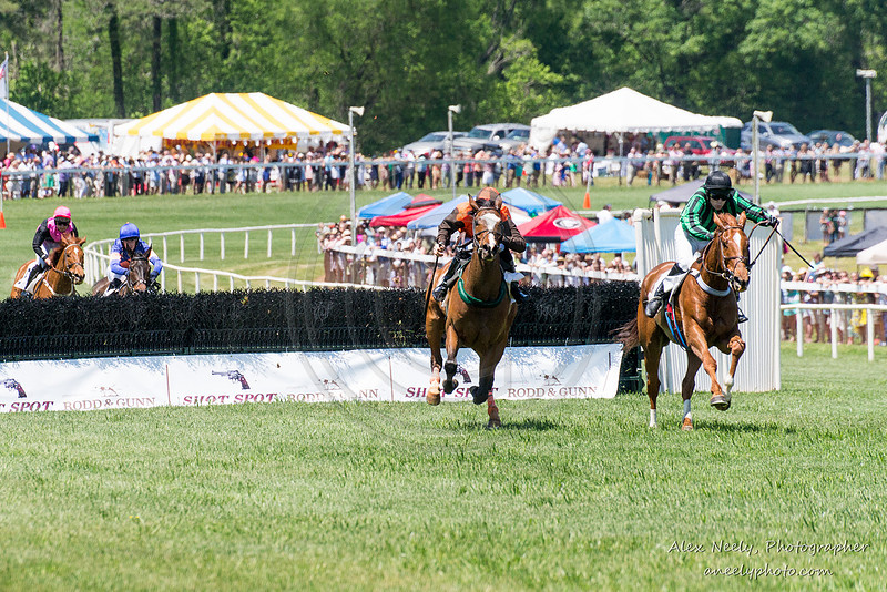 Alex Neely, Photographer | Races