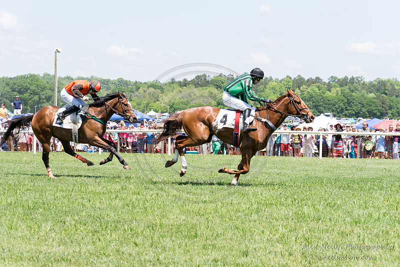 Alex Neely, Photographer | Races